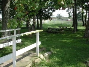 View of Horsebarn Hill picnic tables