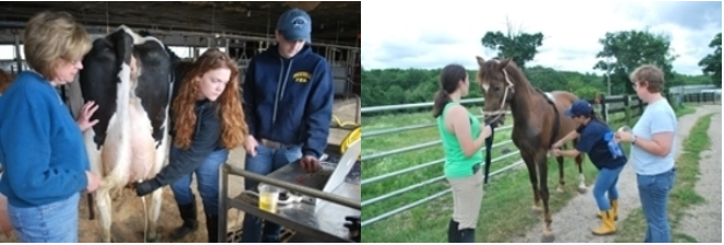 Students & faculty in the field