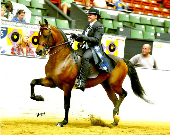 Kayleigh and Sanchez during their victory pass (2011)  Photo courtesy of Terry Young