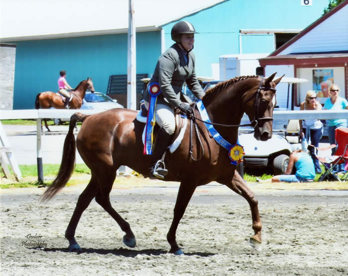 Kayleigh Meyer (Animal Science undergraduate) at the New England Horse Show with UC Tee Rose (2012) Photo courtesy of Denlore Photography