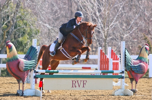 Alena Meacham on UC Pride and Joy at Rendezvous Farm Summer 2018