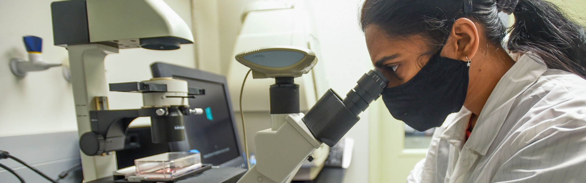 Graduate student conducting research