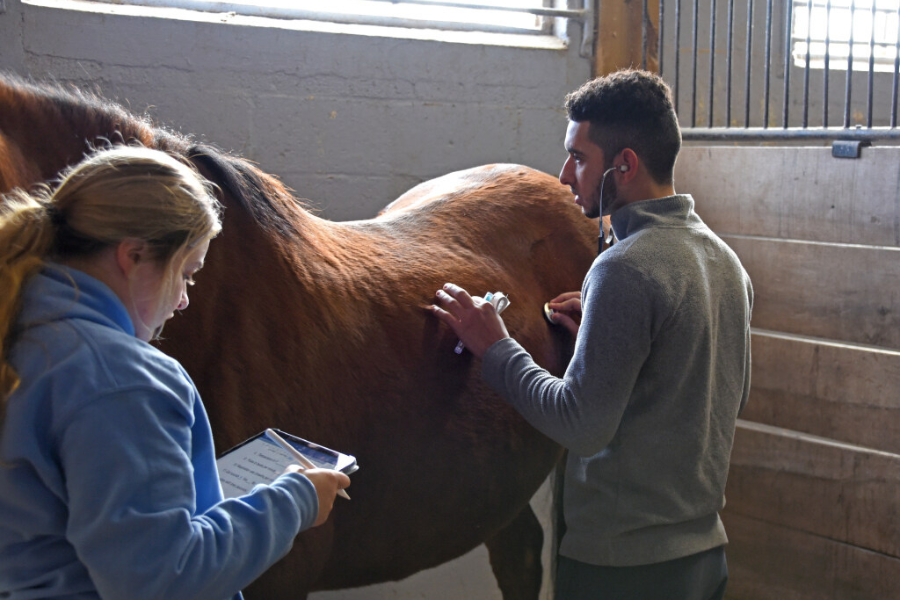 link to degree programs