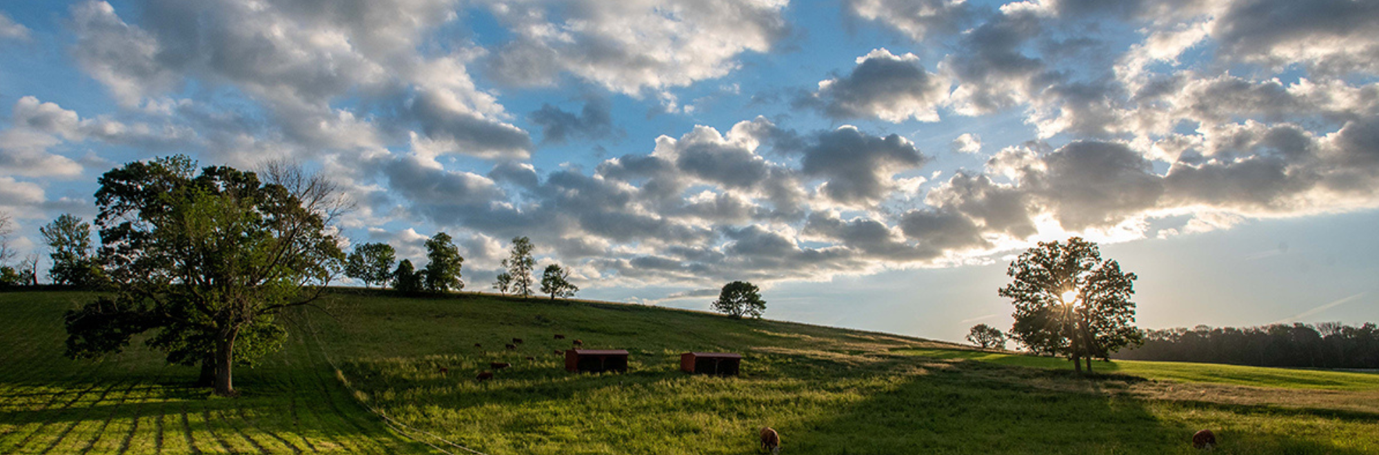 Sunset view of Horsebarn Hill