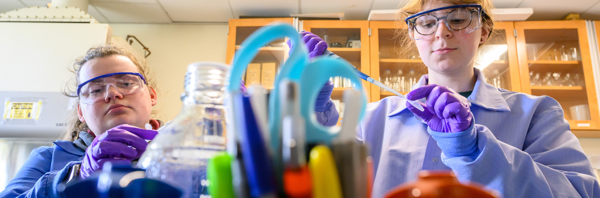 Graduate and undergraduate students work at the bench in Dennis D'Amico's lab at the Agricultural Biotechnology Laboratory on April 26, 2023. (Peter Morenus/UConn Photo)