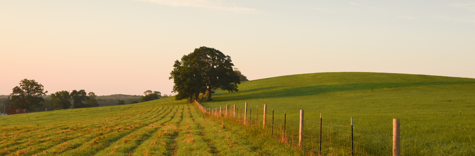 View of Horsebarn Hill at sunset