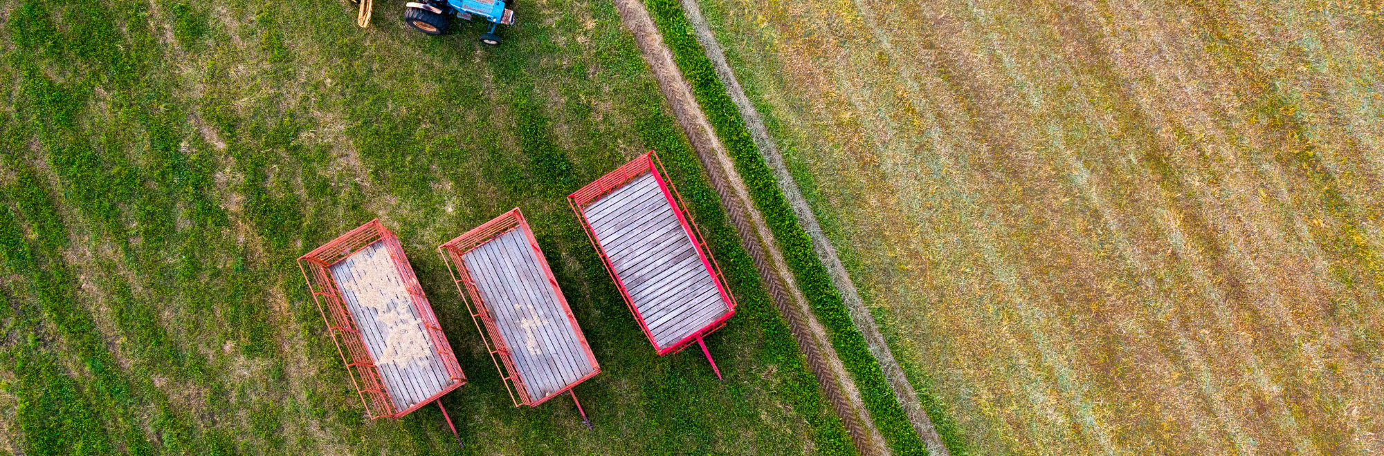 Aerial view of a crop