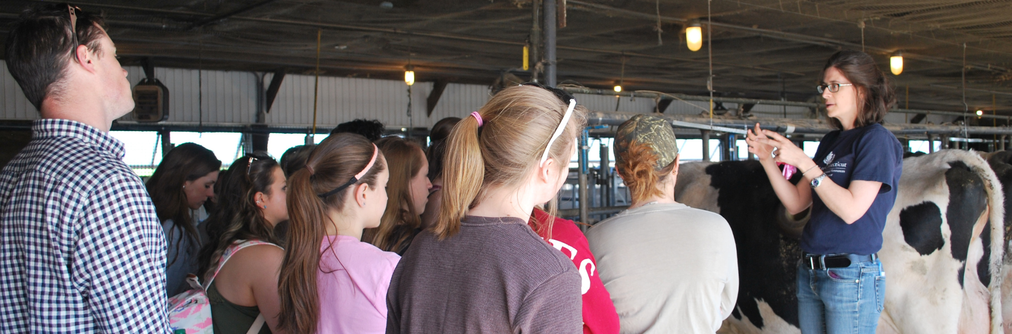 Group, lecture, students, cow, instructor, pre-vet program, pre-veterinary program, animal science, students, vet school