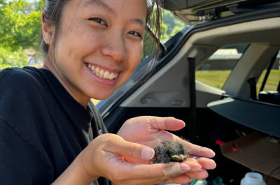 Student holding newly hatched bluebird