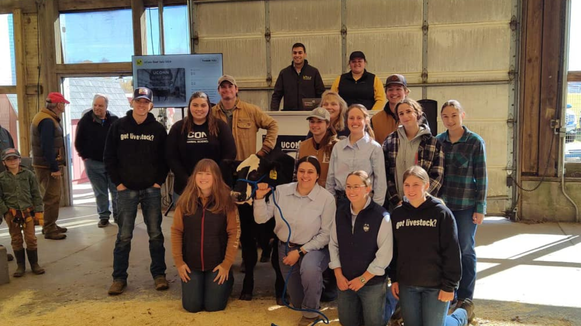 Student posing for photo alongside a beef cow in the Cattle Resource Unit