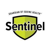 Sentinel Vector