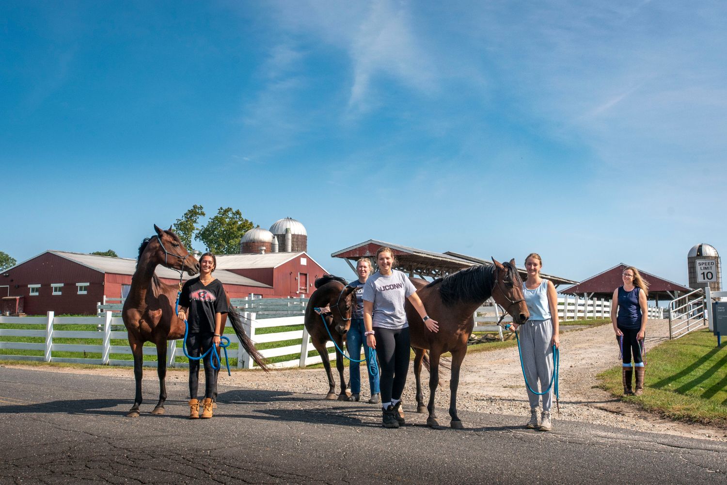 Group of students posing for photo with horses outside