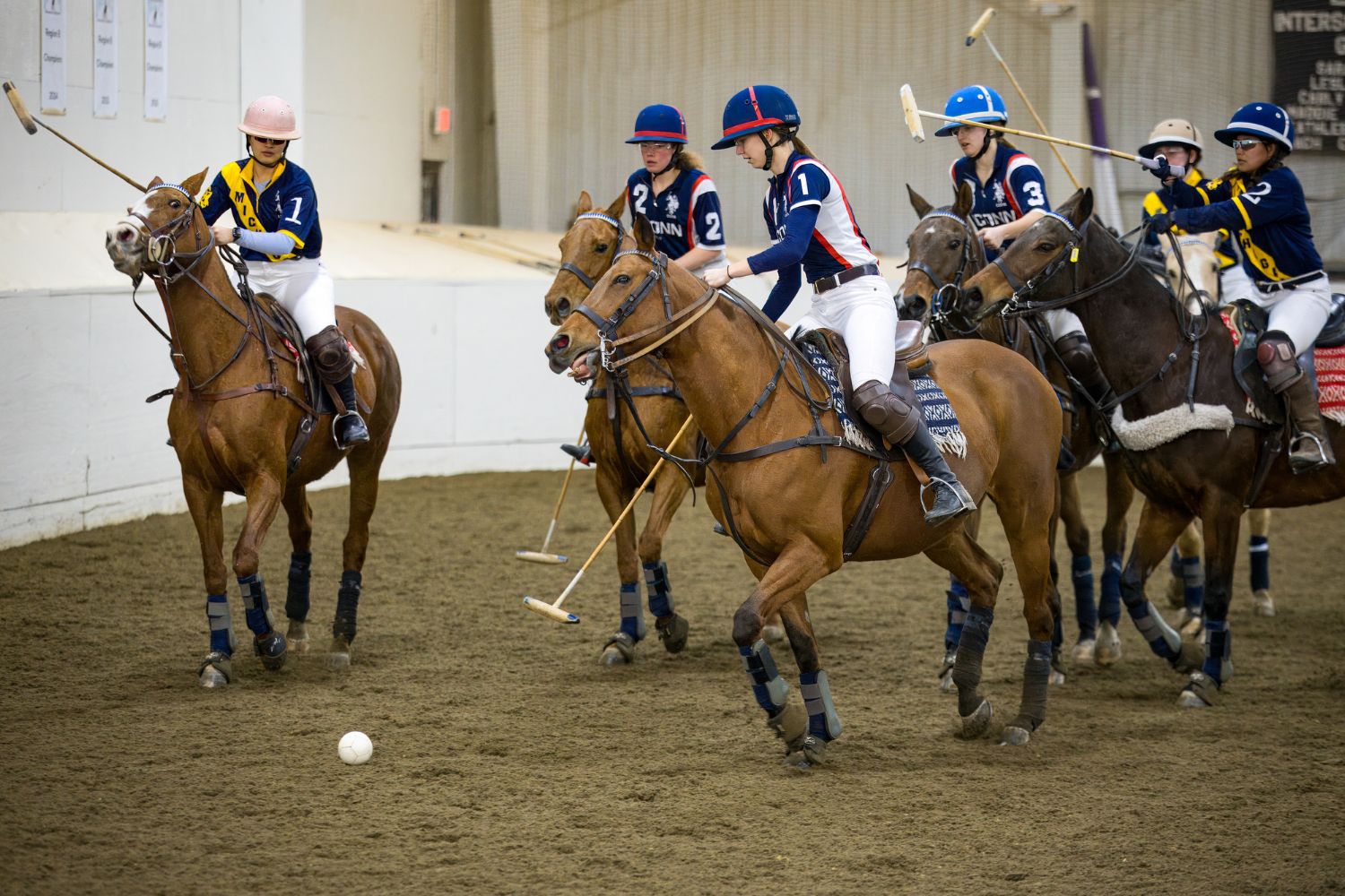 Polo Team Match