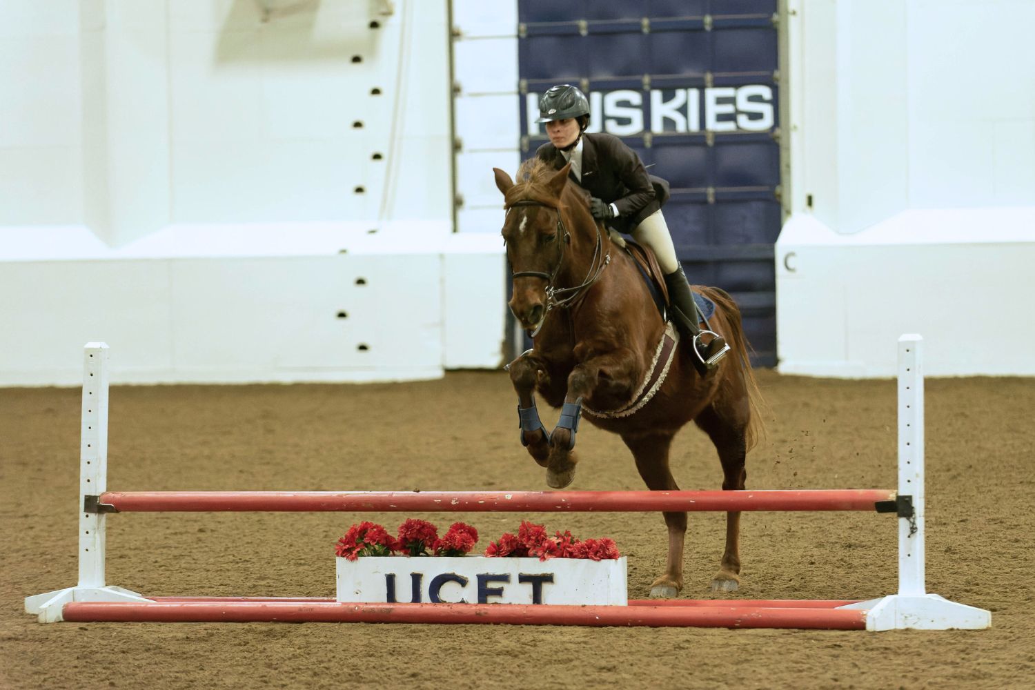 Student and horse jumping obstacle in arena