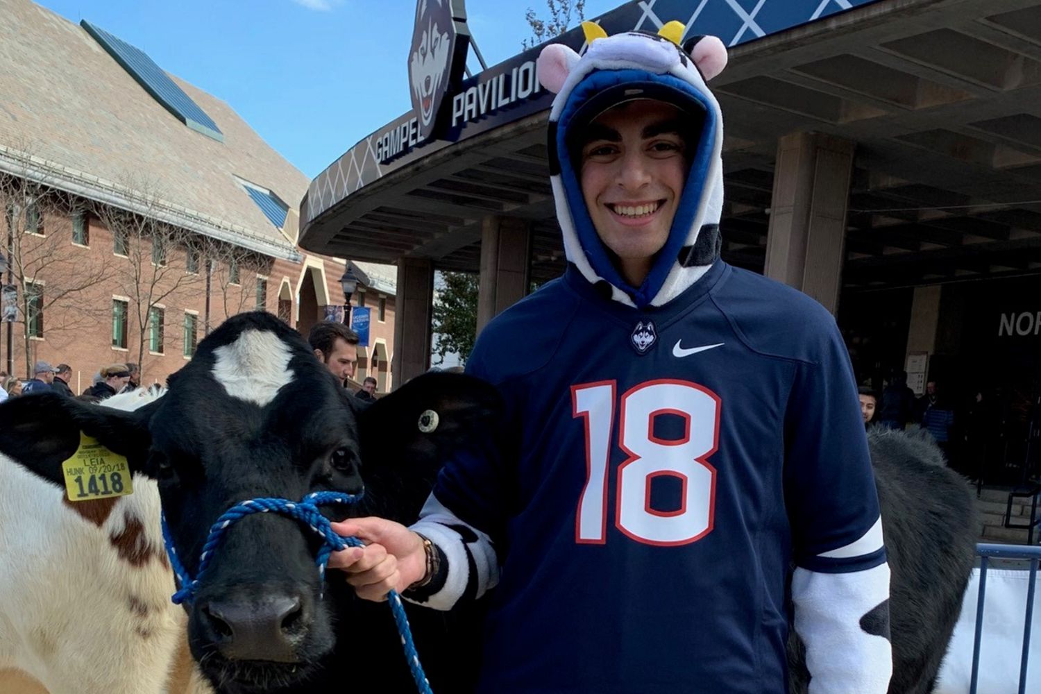 Student with cow outside of Gampel Pavillion