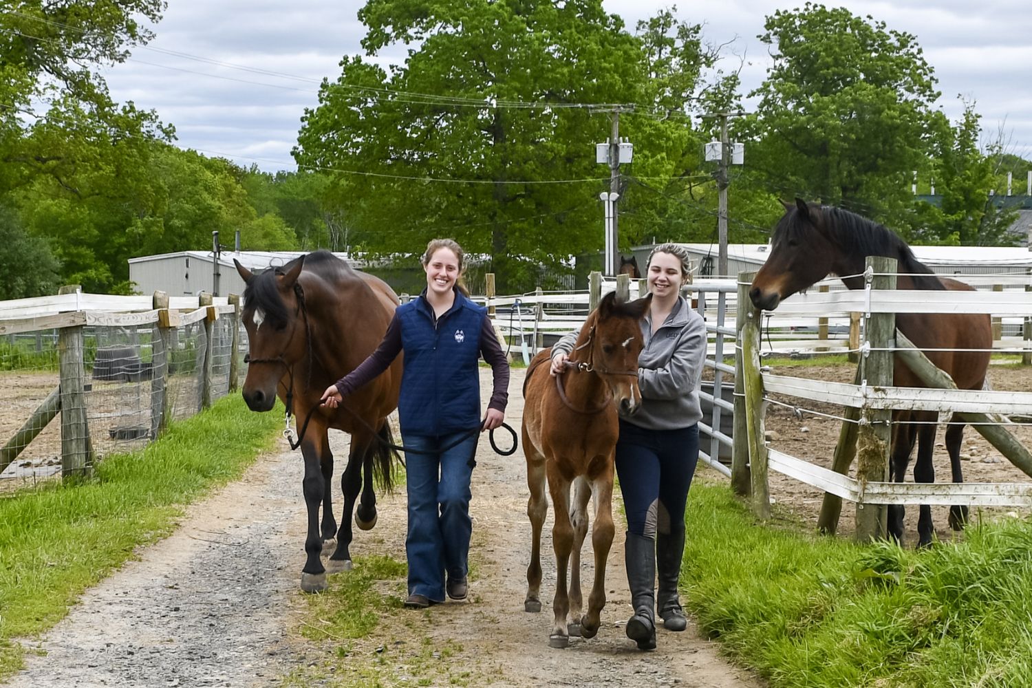 Students leading horses through outdoor paddocks
