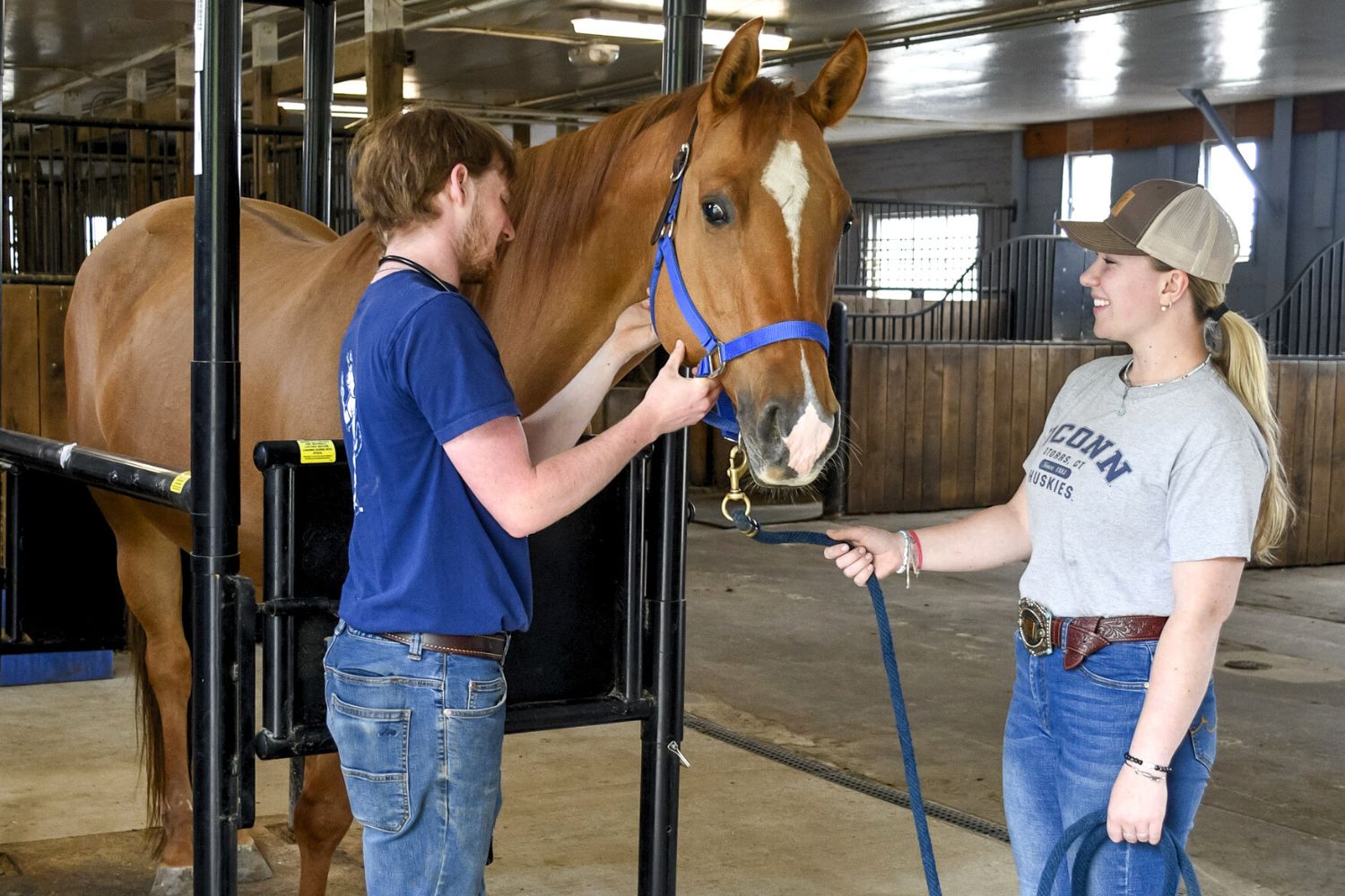 Students securing bridle on horse