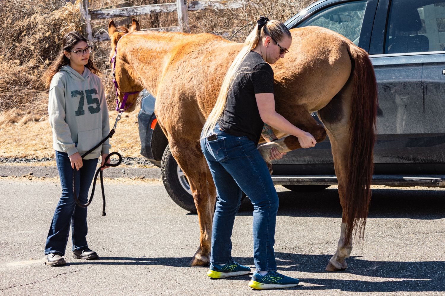 Students working with horse outside