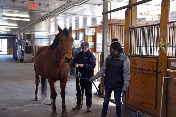 Student and faculty member leading horse through stable.