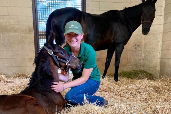 A student kneeling down in hay cradling a young dark brown horse while an older black horse watches from behind.
