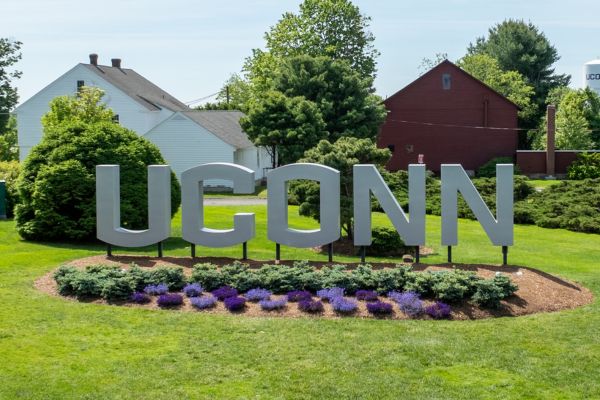 Blue and purple flowers sit in the flowerbed in front of the UConn gateway sign along Route 195 on Tuesday, May 27, 2025.
