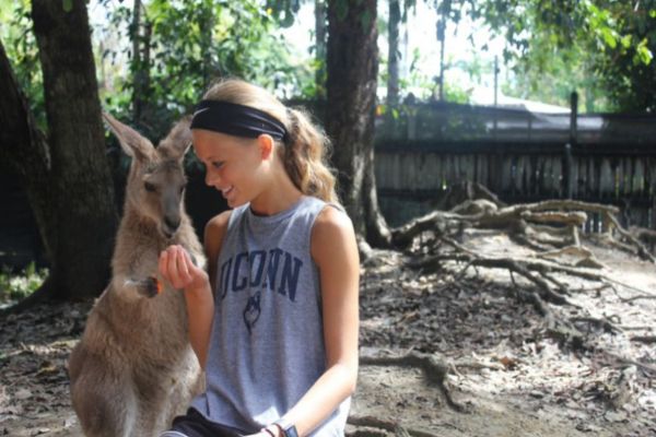 A girl gently pets a kangaroo in a zoo, showcasing a moment of interaction between them.