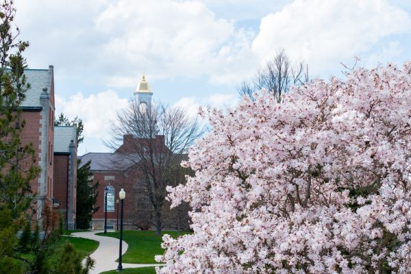 The Wilbur Cross cuploa sits on a summer day in Storrs on Wednesday, May 28, 2025