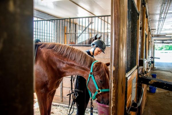 A woman and a horse standing inside of a horse stall.