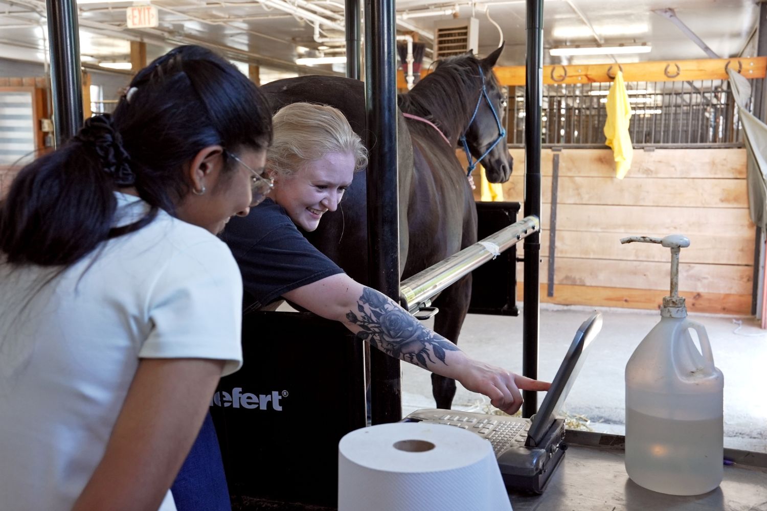 Two women looking at a computer screen with a horse in the background.
