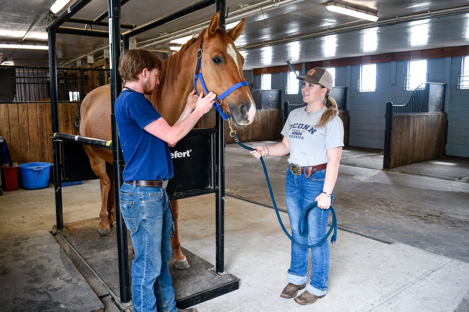 A man and woman putting a bridle on a horse inside of a horse facility.