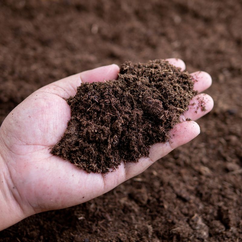 A hand grabbing dirt from the ground