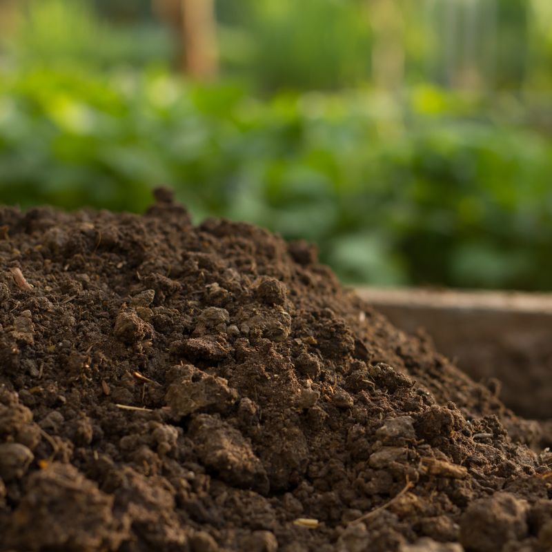 A pile of compost sitting in a garden